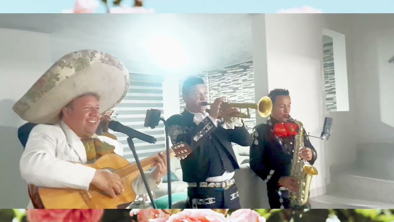 Serénata Amor Alejandra