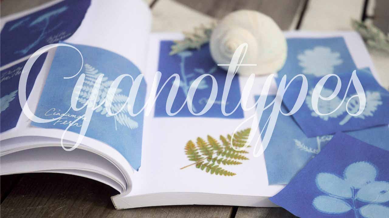 How To Make Botanical Sun Prints | Cyanotypes