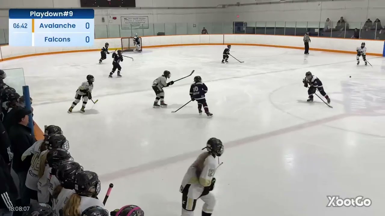 Provincial Playdown - Saturday, March 7th - at Ancaster Avalanche - L 2-1