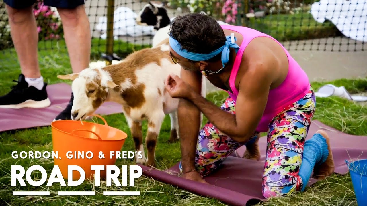 Yoga With Goats After Cannabis-Infused Lunch | Gordon, Gino and Fred's Road Trip