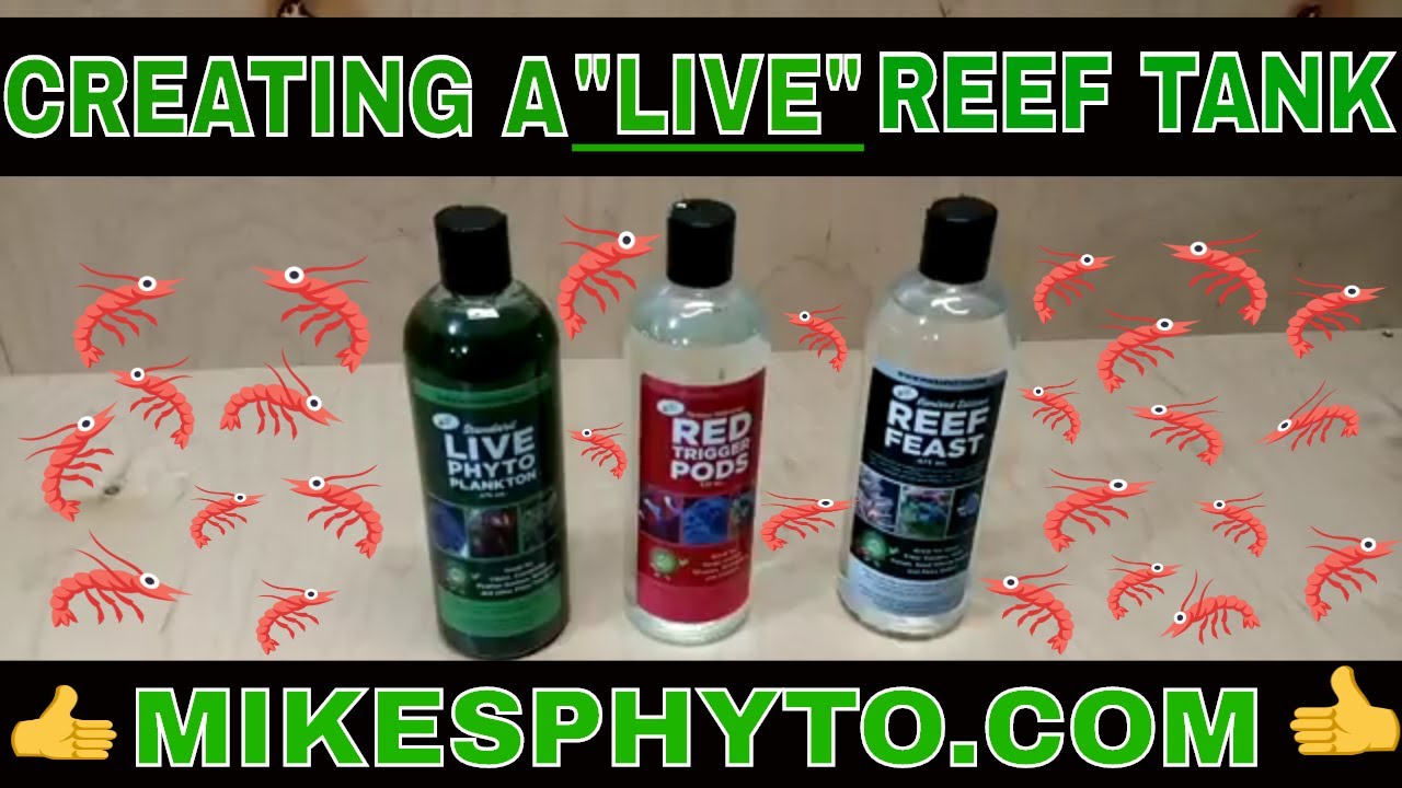 Adding Biodiversity To A Reef Tank - Live Zooplankton and Phytoplankton
