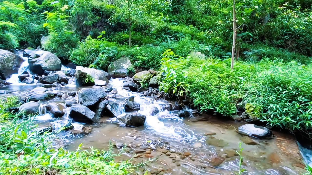 Calm River Flow for Peaceful Rest