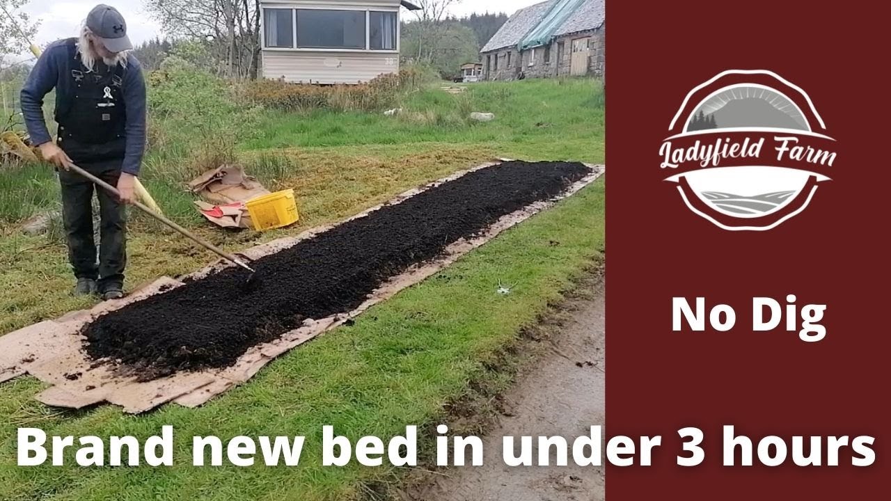 LADYFIELD FARM   : From bare grass and weeds to fully planted bed of squashes in under 3 HOURS!