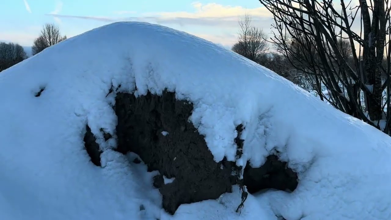 Новогодние каникулы
