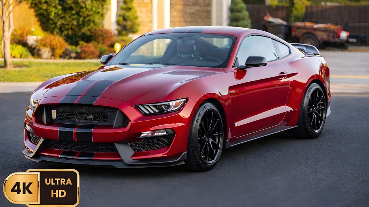 Ford Mustang Shelby GT350 Realistic Car Driving | Forza Horizon 5 | 4K 60FPS