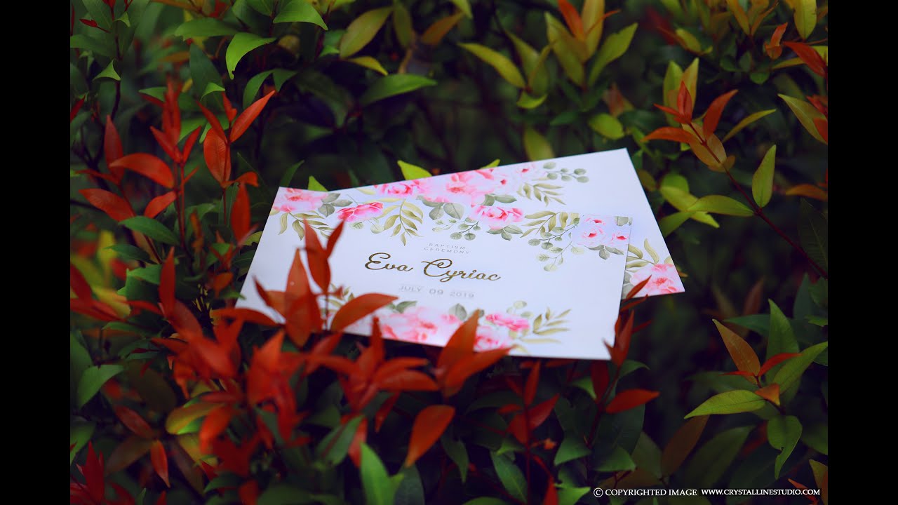 Cyriac Joseph Photography|Crystalline Studio