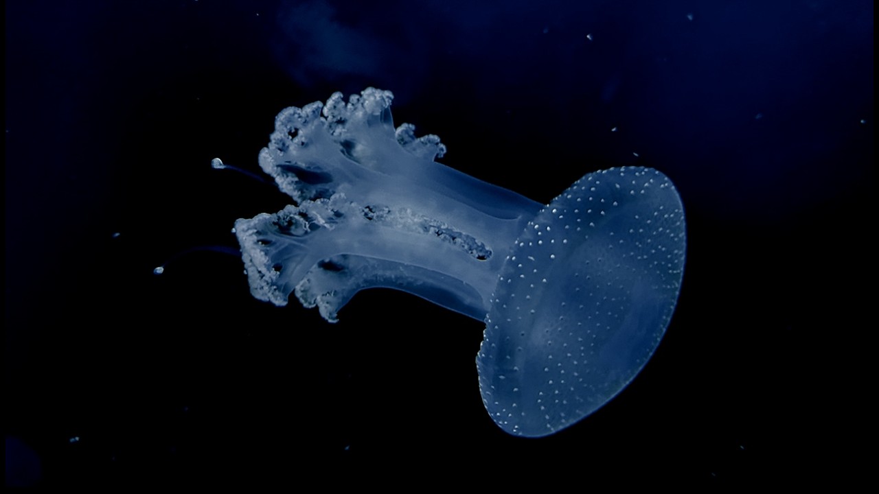 Submergence - Deep Ambient Techno