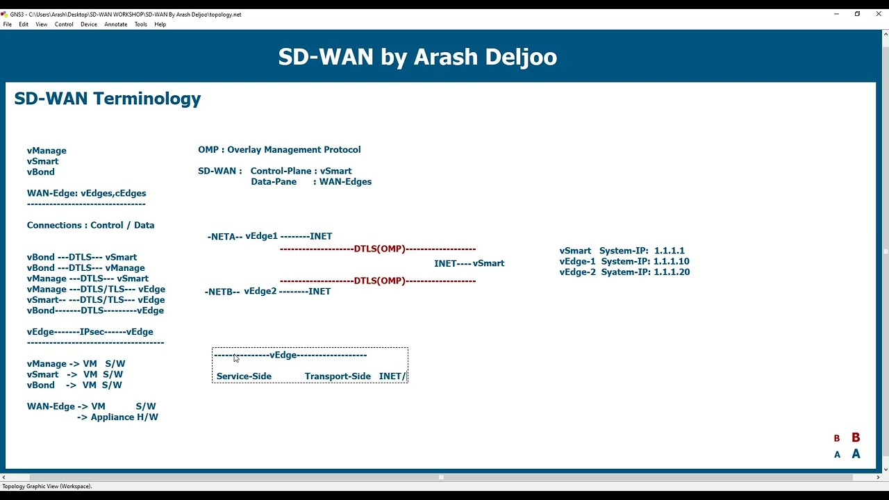 3 SDWAN - Terminology , TLOC , OMP , System IP and Color by  ArashDeljoo
