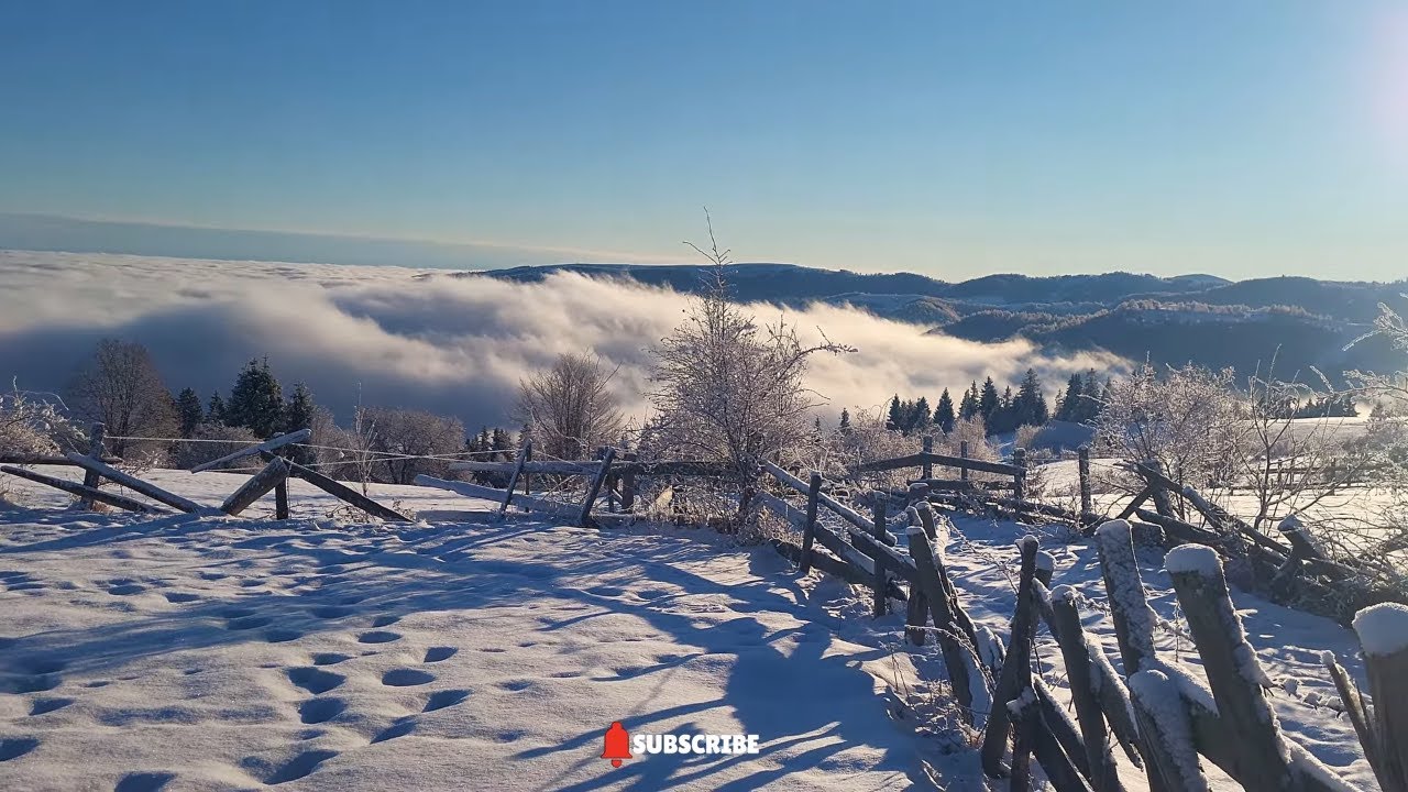 Зимняя сказка: Когда наконец-то выглянуло солнце! ☀️❄️ Чистая магия