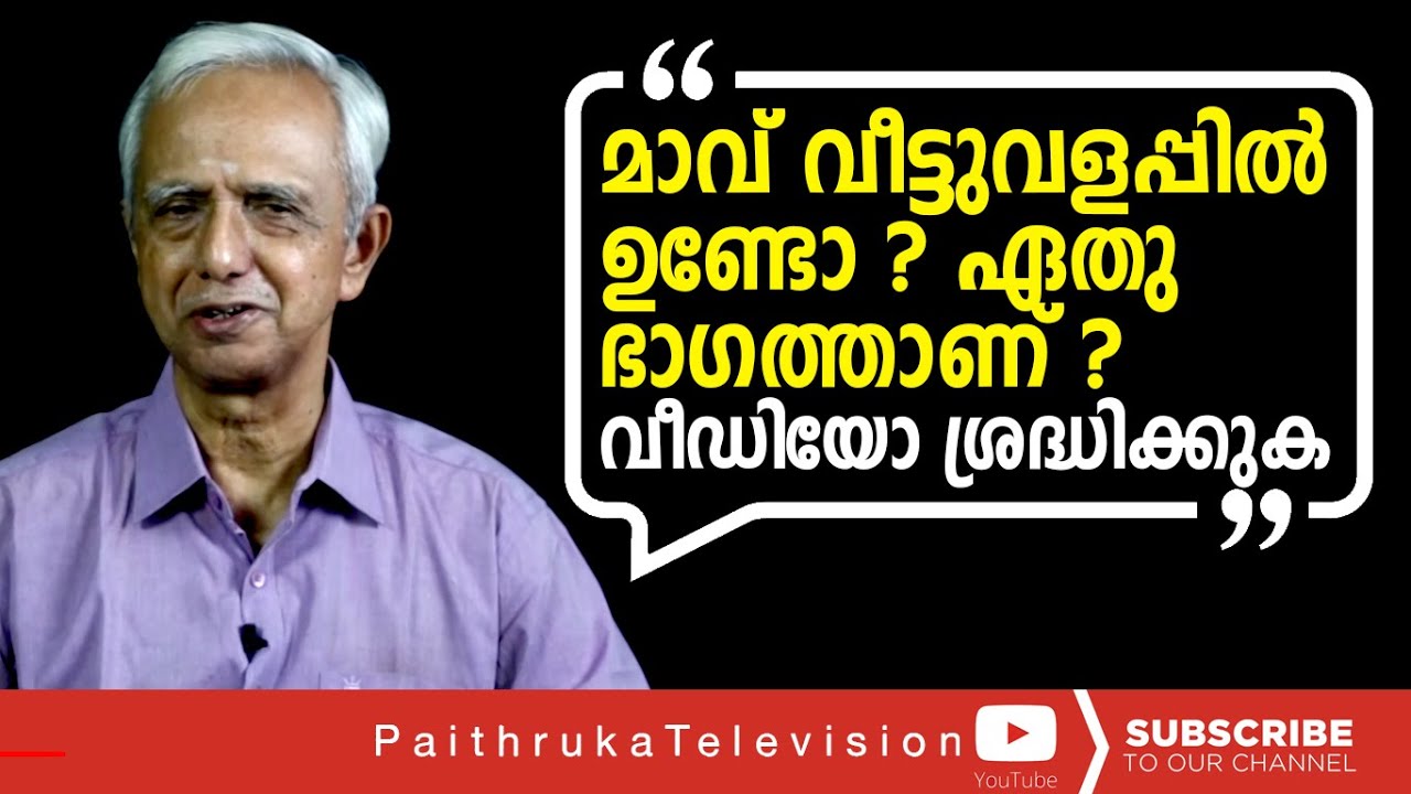 മാവ് വീടിന്റെ ഏതു ഭാഗത്ത്  നടണം എന്താണ് ഗുണം |Draravindhakshan|heritagetips