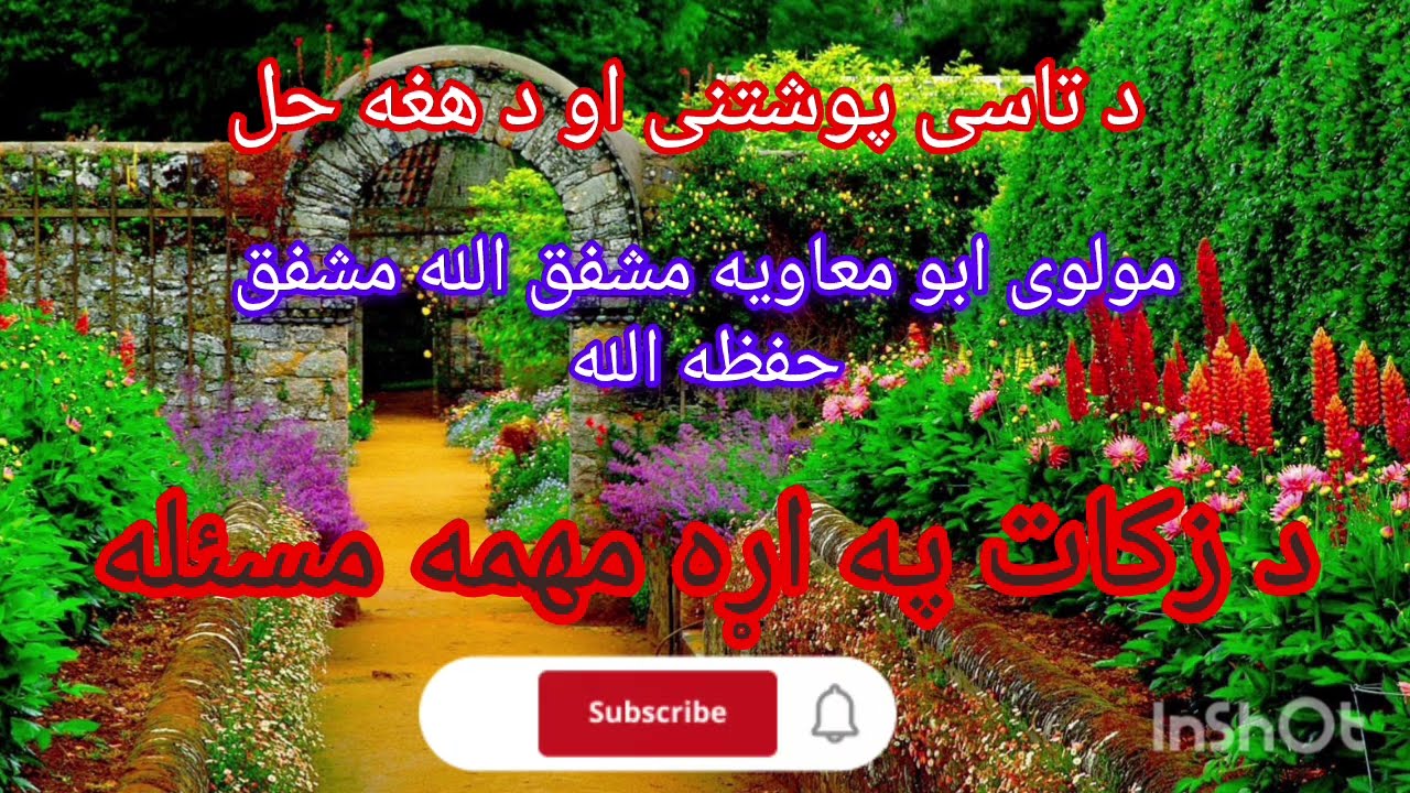 د زکات په اړه مهمه مسئله | د تاسې پوښتنو ته واضح ځواب