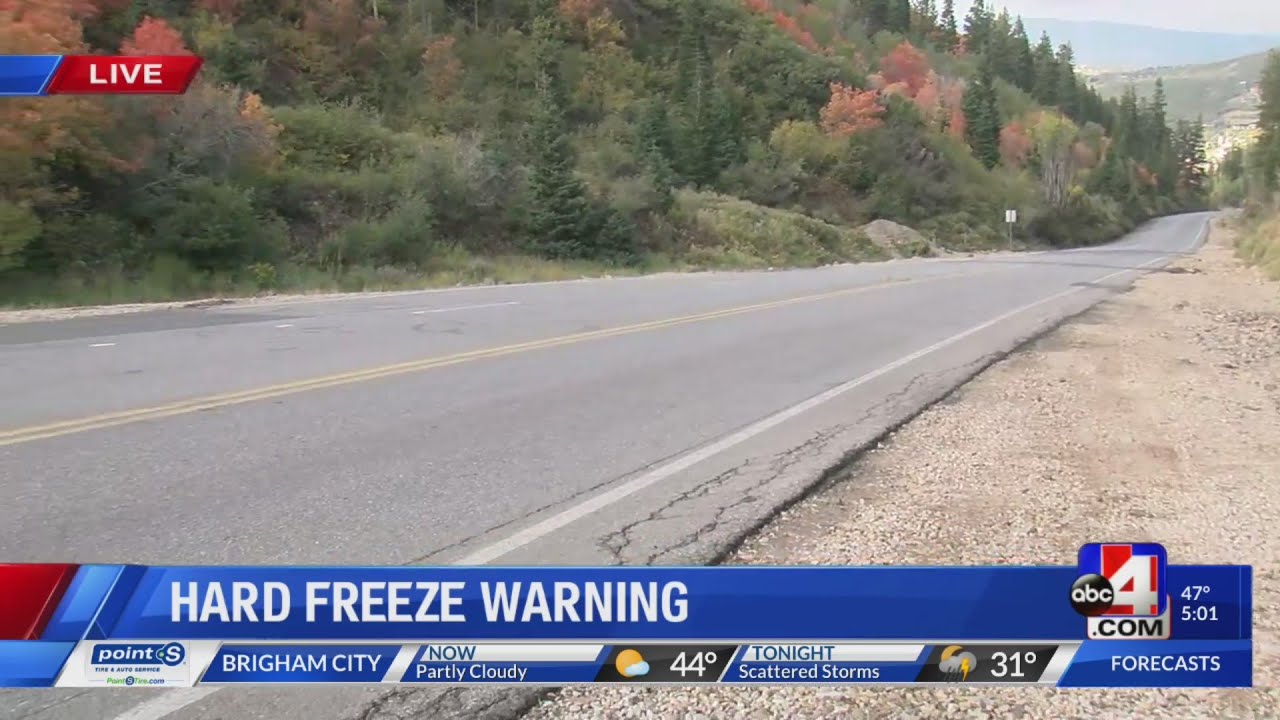 Hard Freeze Warning
