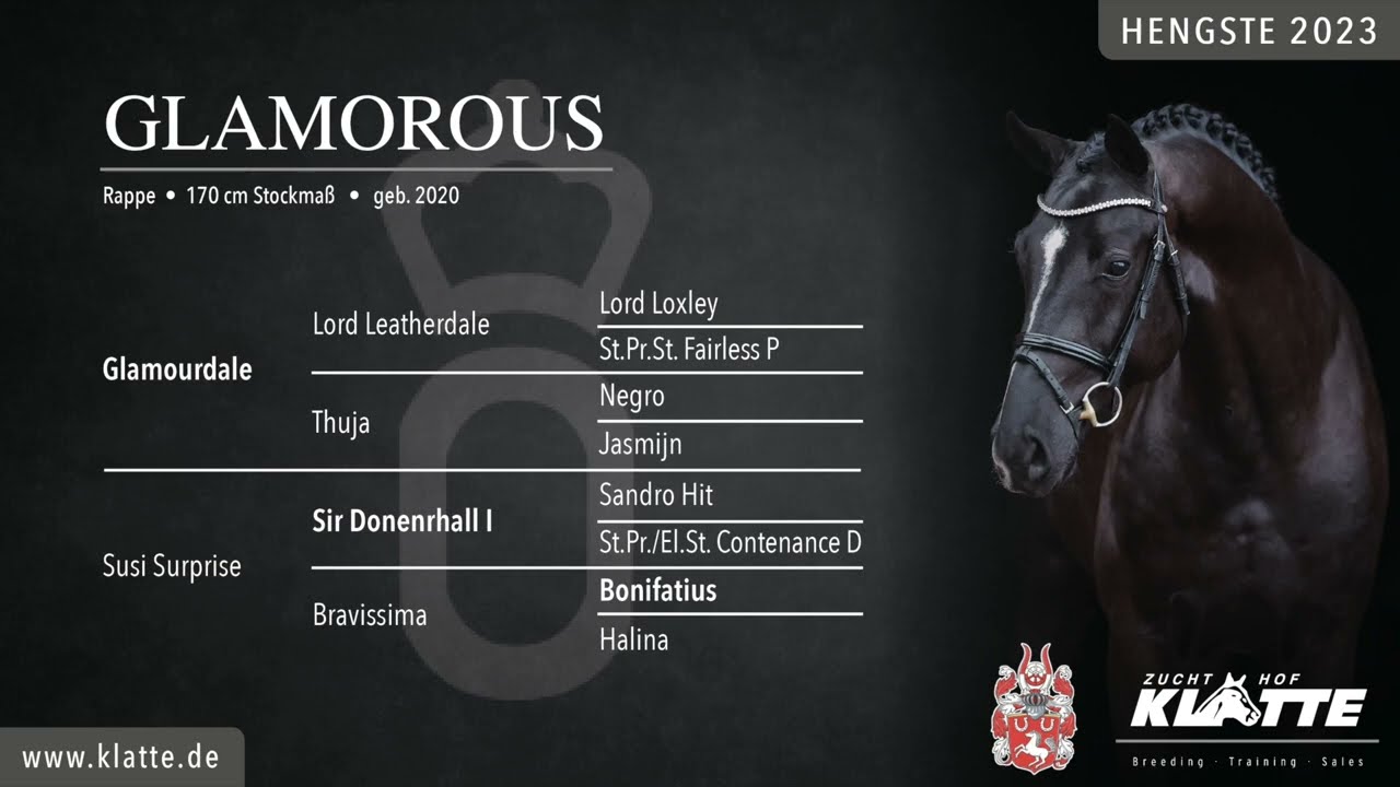 GLAMOROUS *2020 v. Glamourdale x Sir Donnerhall x Bonfactius / HENGSTE 2023 / www.klatte.de