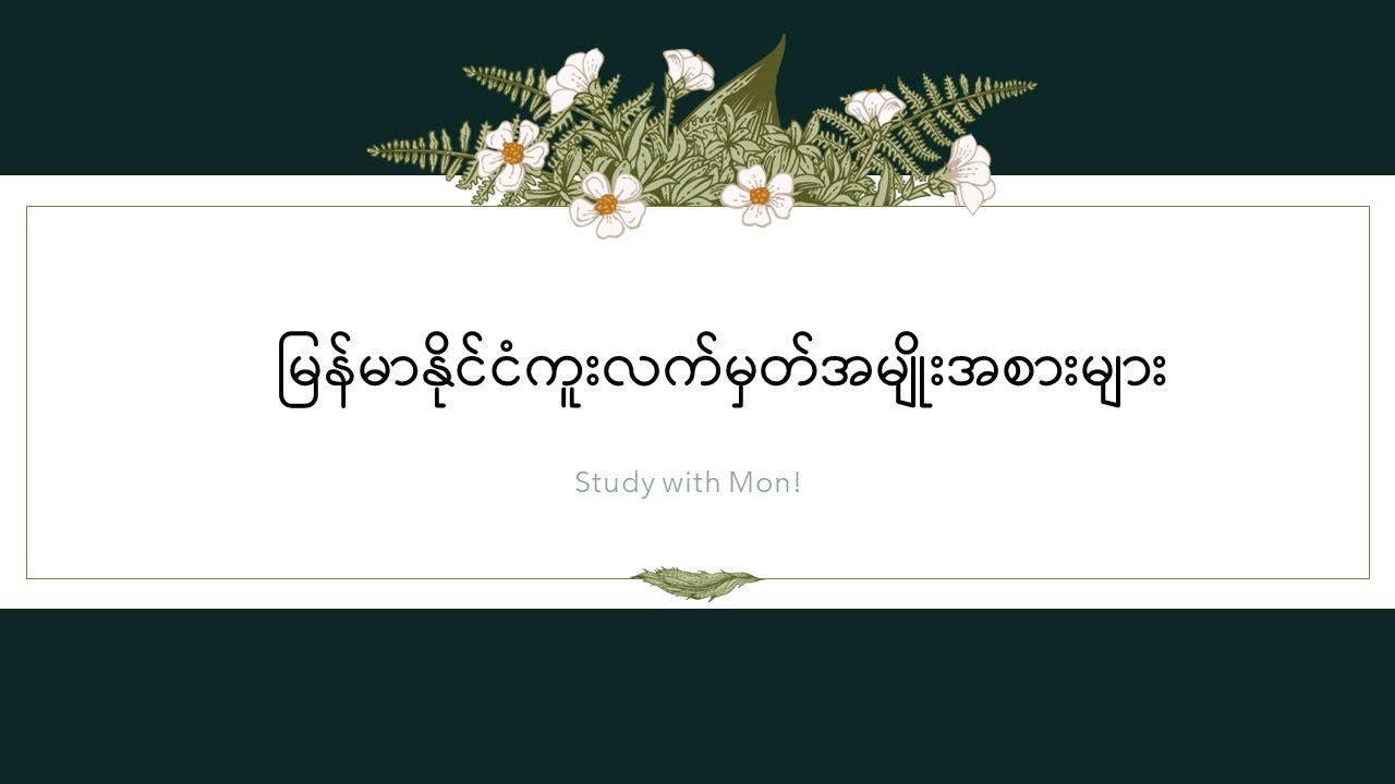 Passport Types in Myanmar