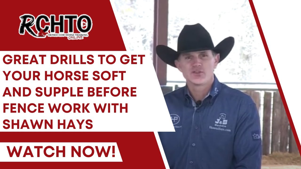 Great Drills To Get Your Horse Soft and Supple Before Fence Work With Shawn Hays