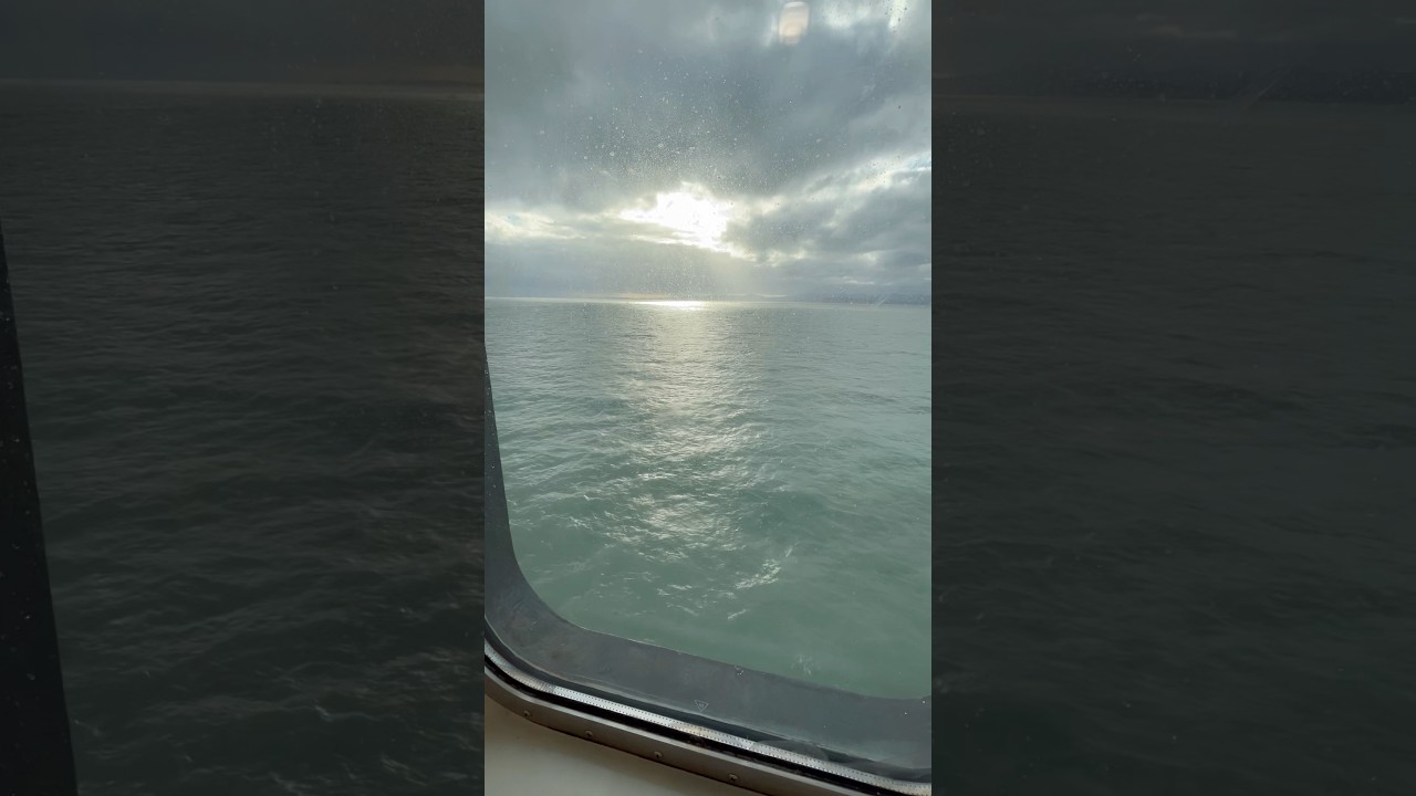 Cruise 