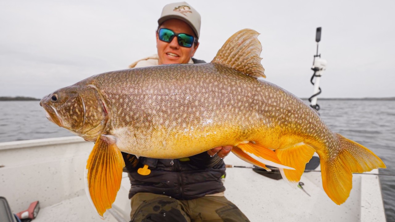 Невероятная форель озера Онтарио