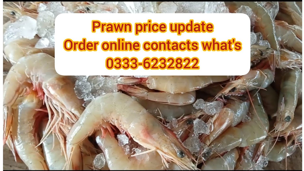 Prawn price update Karachi Fisheries| Sea Food Supplier
