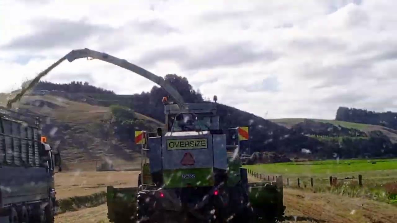 This is the life of new Zealand farmer.