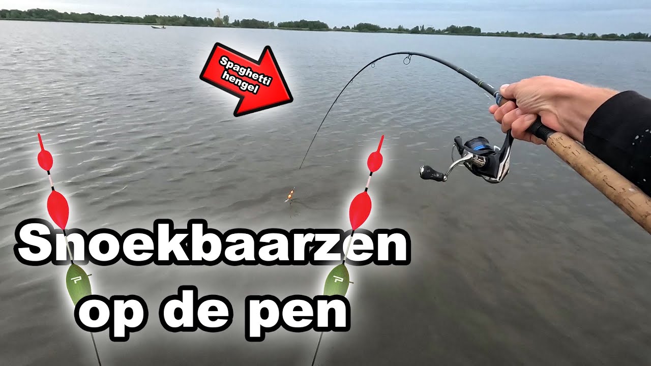 Grote Snoekbaarzen op de Pen