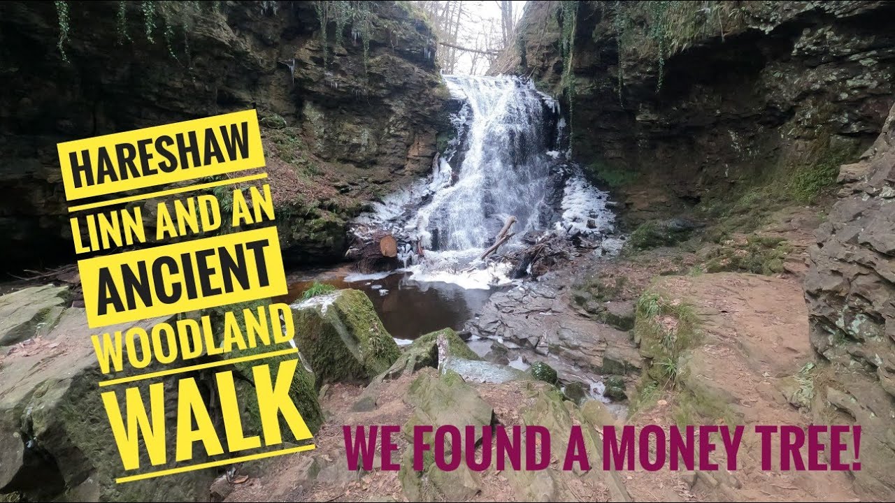 EXPLORING HARESHAW LINN, ONE OF NORTHUMBERLANDS HIDDEN WATERFALLS.#waterfall #views #northumberland