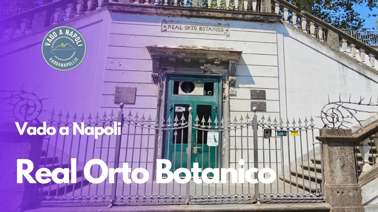 La Mimosa Sensitiva dell'Orto Botanico di Napoli: Una Pianta che Ti Sorprenderà