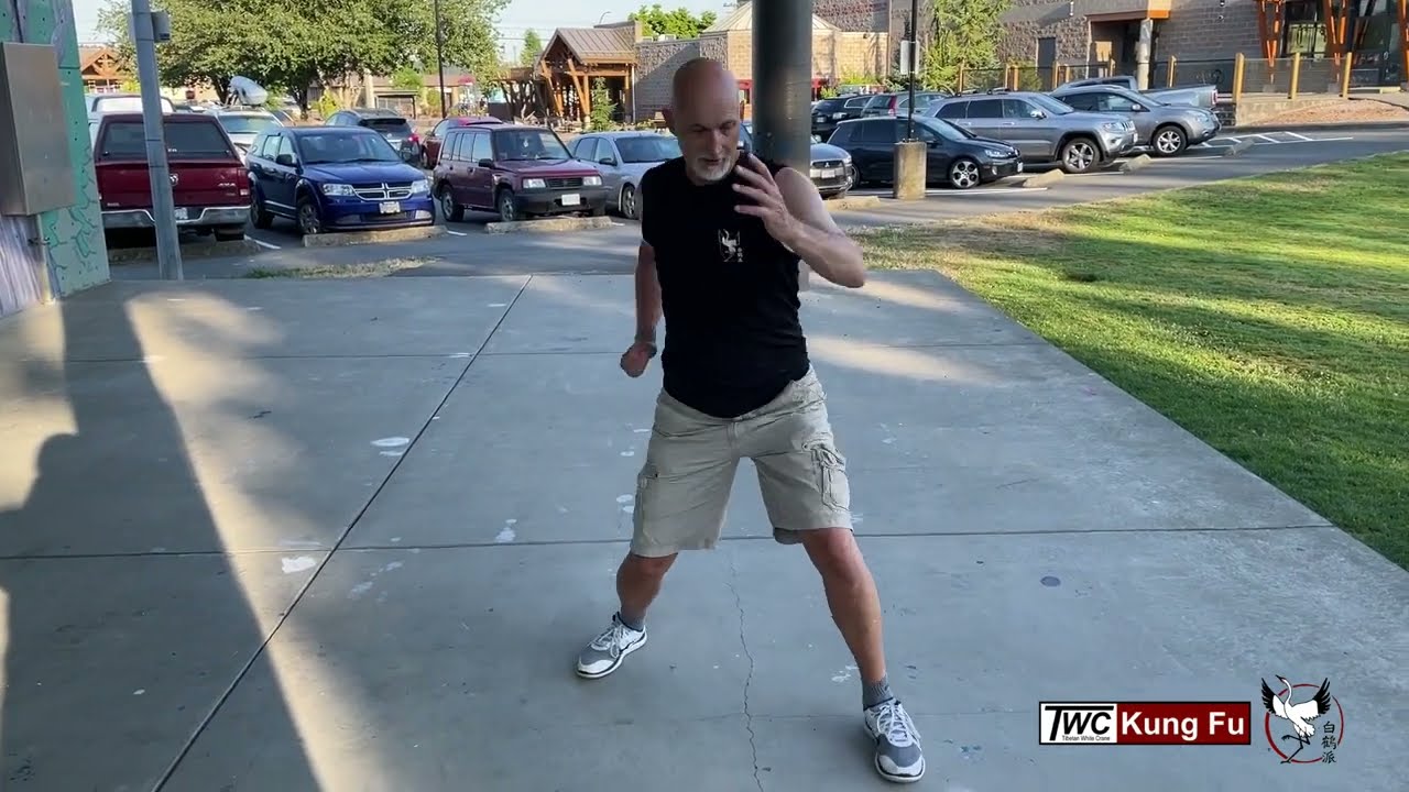 Charging Fists - Pak Hok Pai Kung Fu