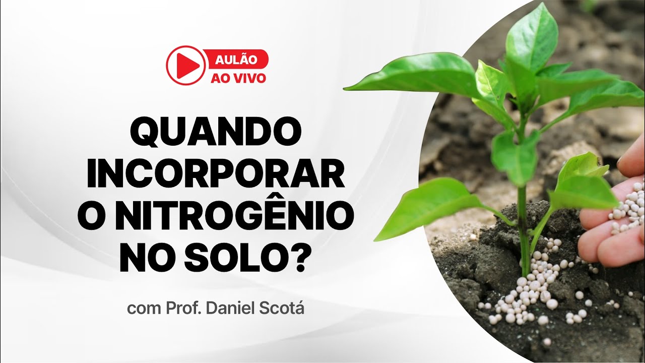 QUANDO INCORPORAR O NITROGÊNIO NO SOLO?