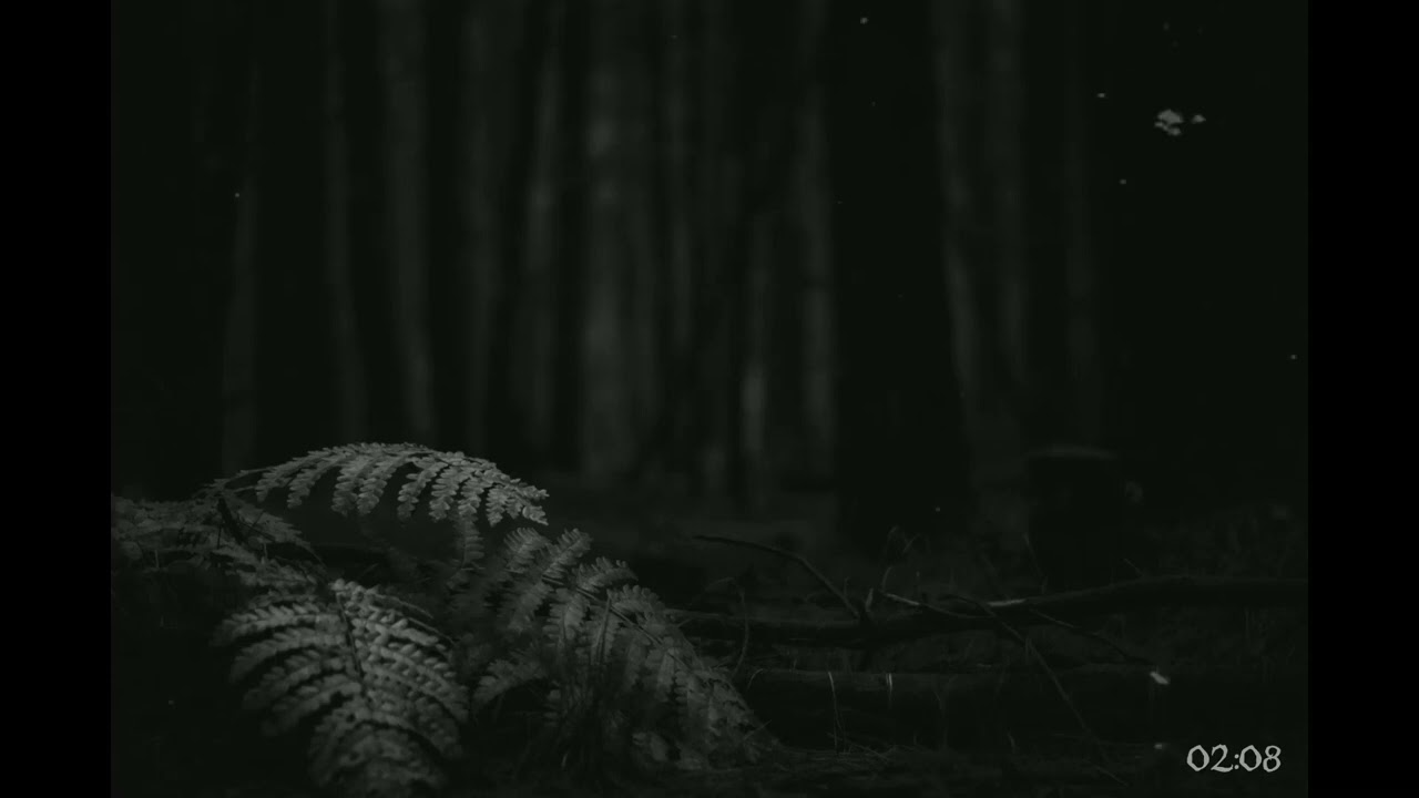 Woodkid Drill Type Beat 