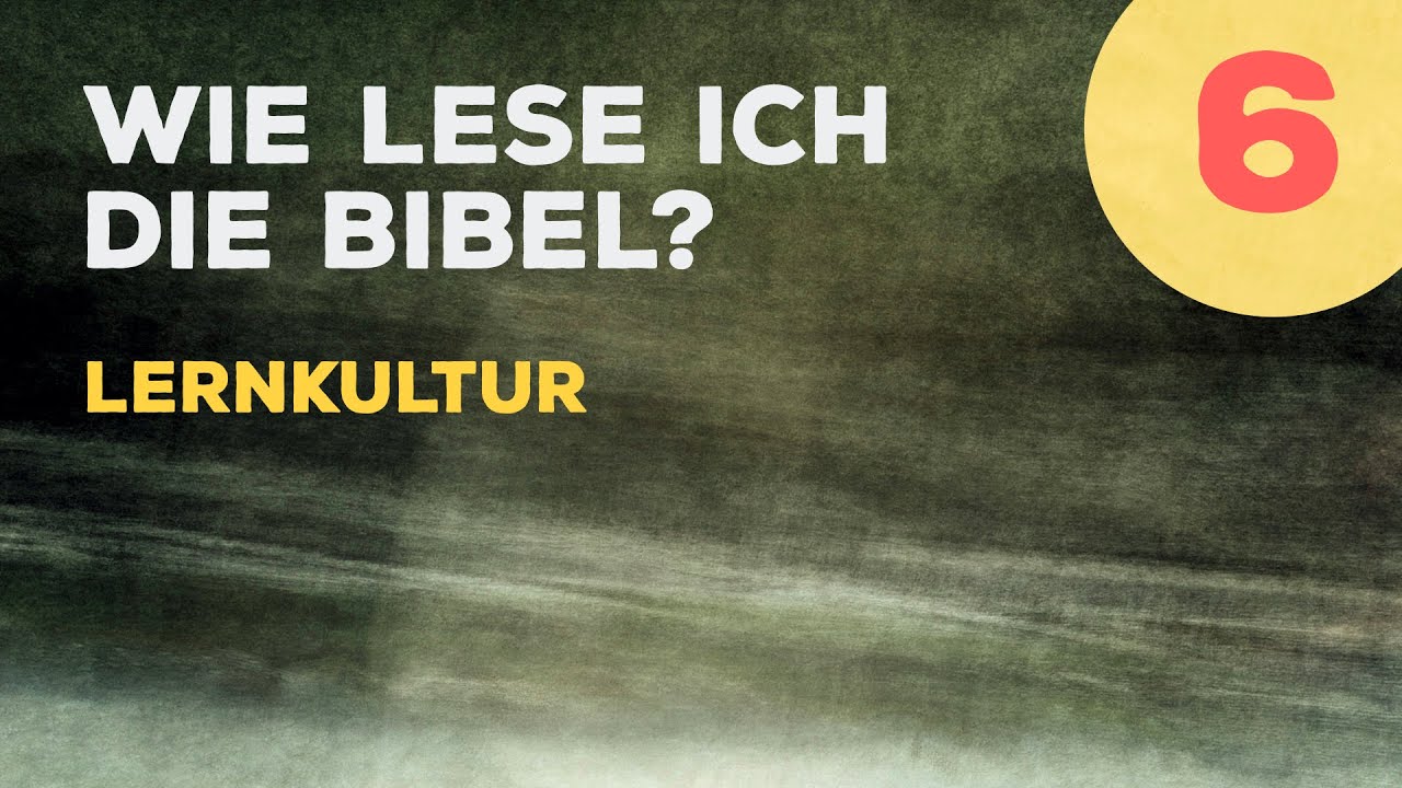 06 Eine Lernkultur pflegen