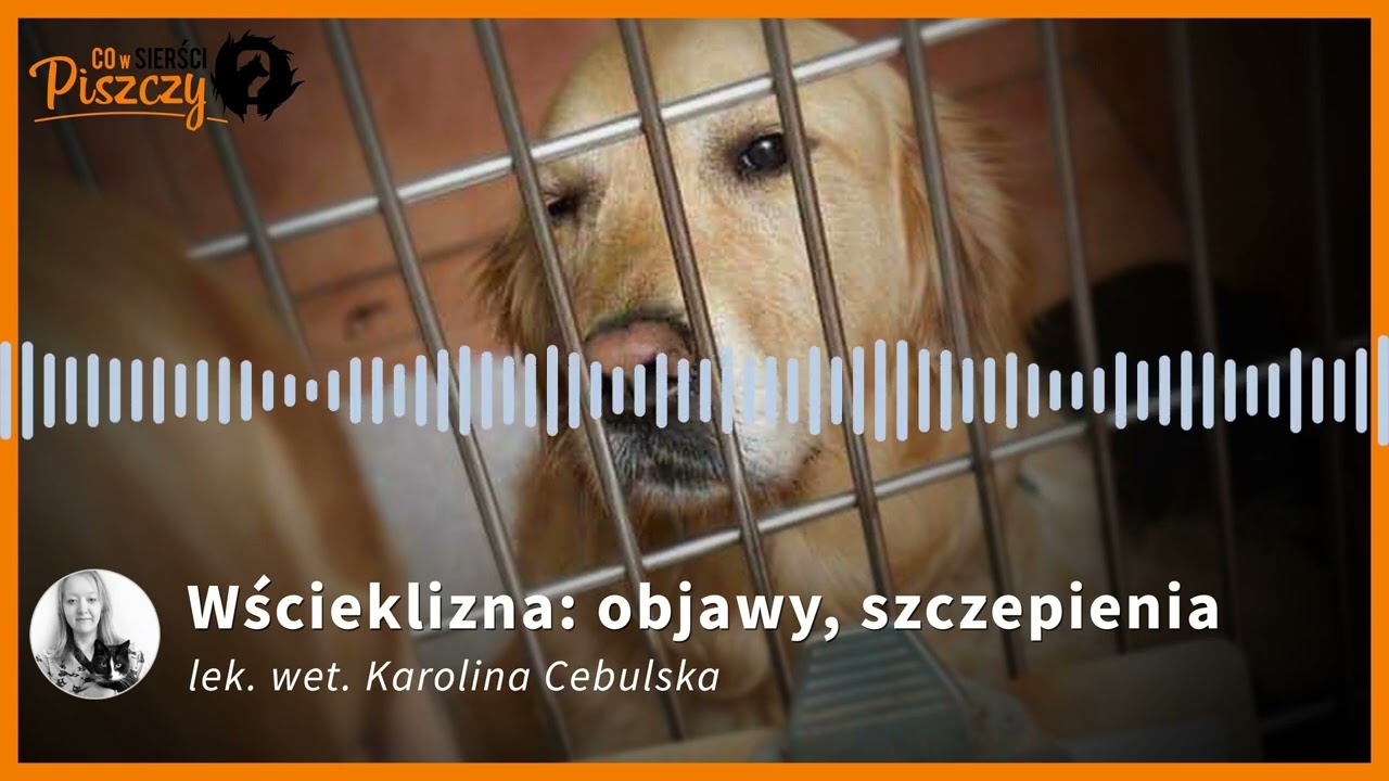 Wścieklizna | Lek. wet. Karolina Cebulska