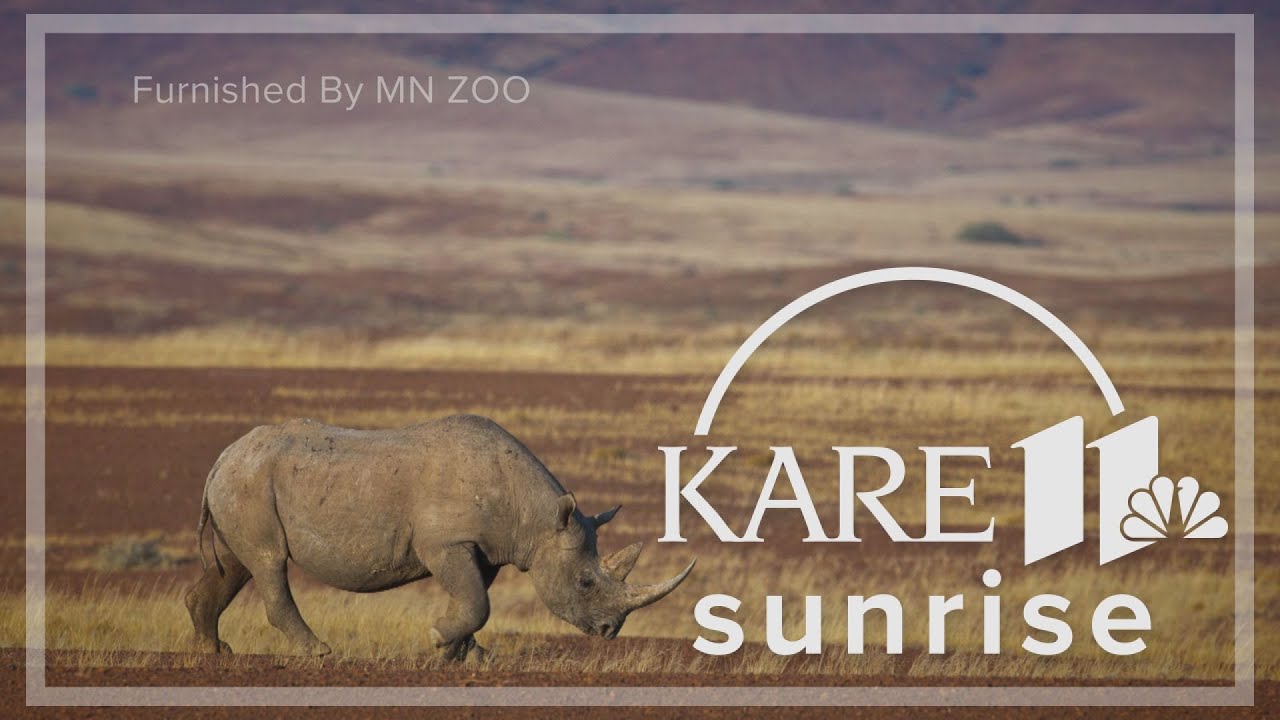 Explore With Sven: Checking in on black rhinos in Namibia