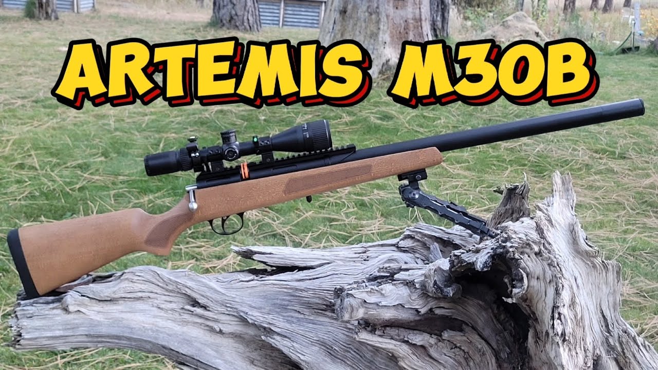 Artemis M30B 🏯 22 калибр - доступный мужской FX DRS #artemis #fun #airgun #pcp