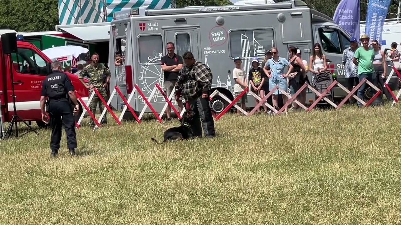 Vorführung der Polizei Hunde Staffel der Polizei Wien