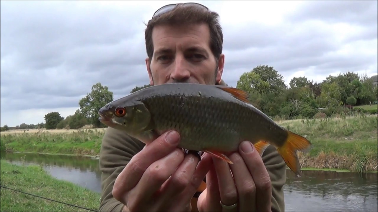 Fishing the Centre pin.  Roach, Chub , Perch Sept 2018