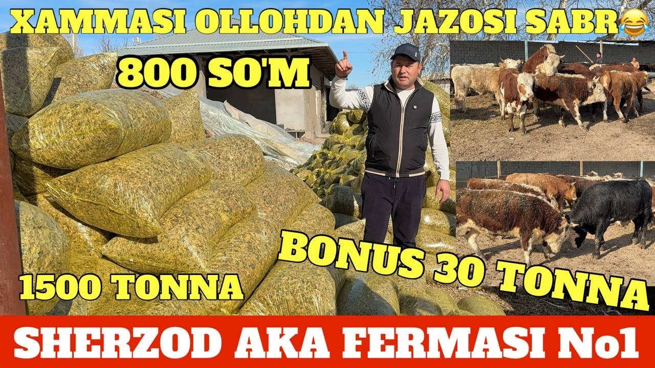 SHERZOD AKA FERMASI ☎️932222555 ☎️996676999 ☎️938789090