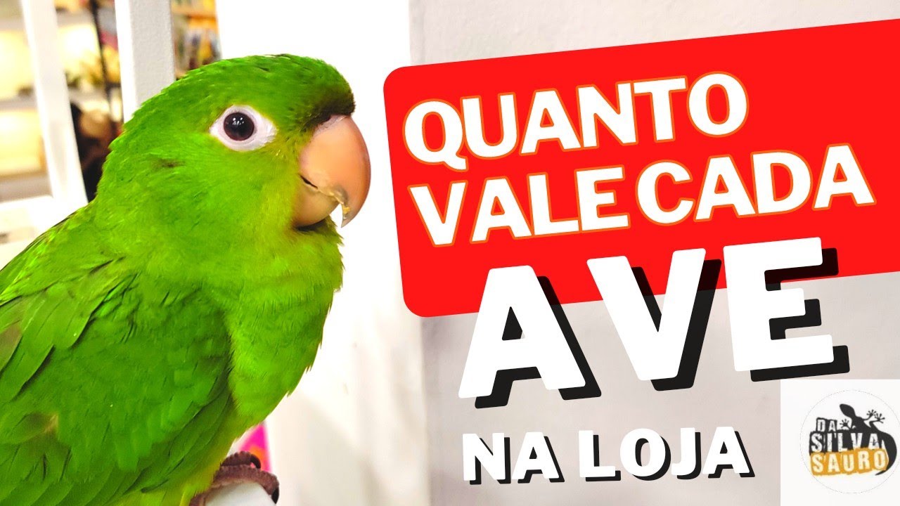 QUANTO VALE CADA AVE | DA SILVA SAURO