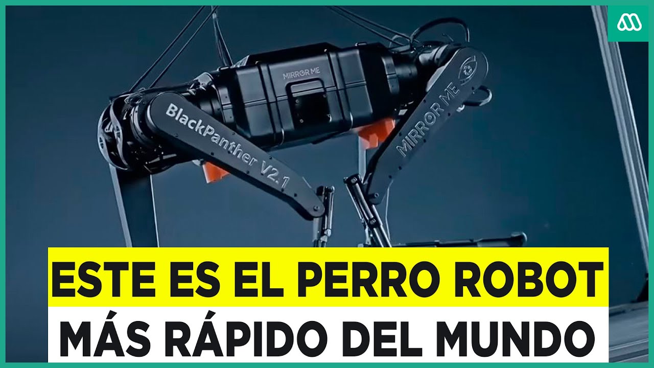 Crean el perro robot más rápido del mundo: Alcanza los 10 metros por segundo