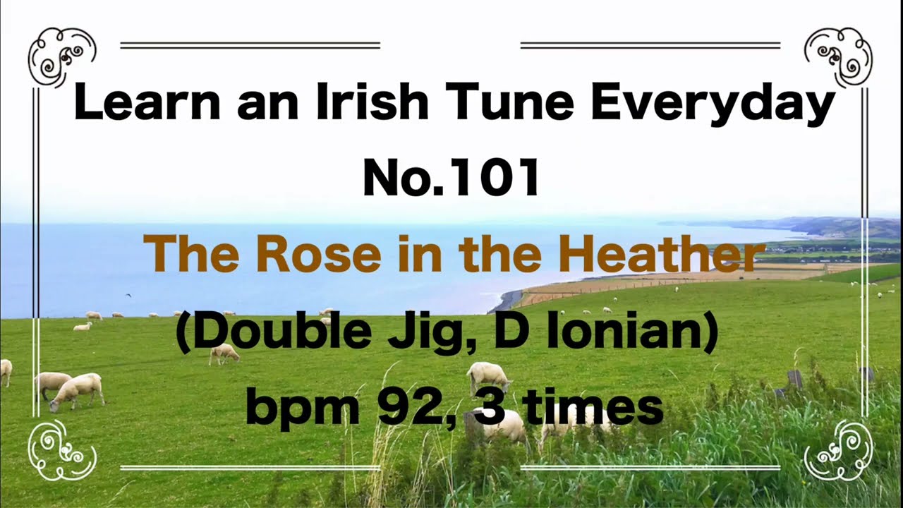 101 The Rose in the Heather (Double Jig, D Ionian)