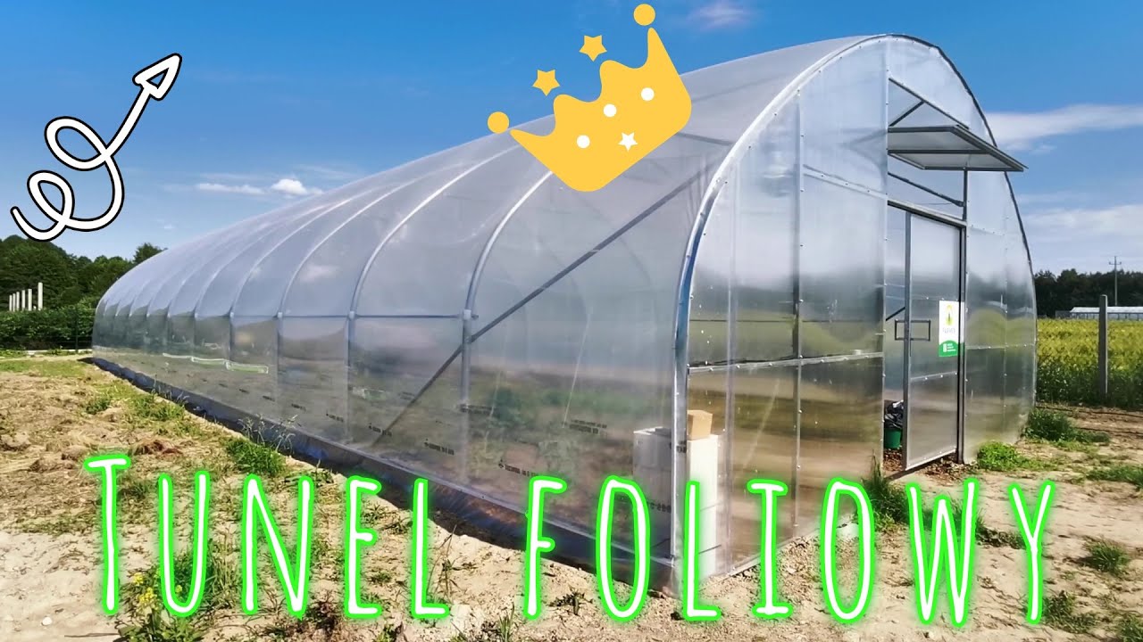 Nasz nowy tunel foliowy, pompowana folia, pierwsze uprawy - #3