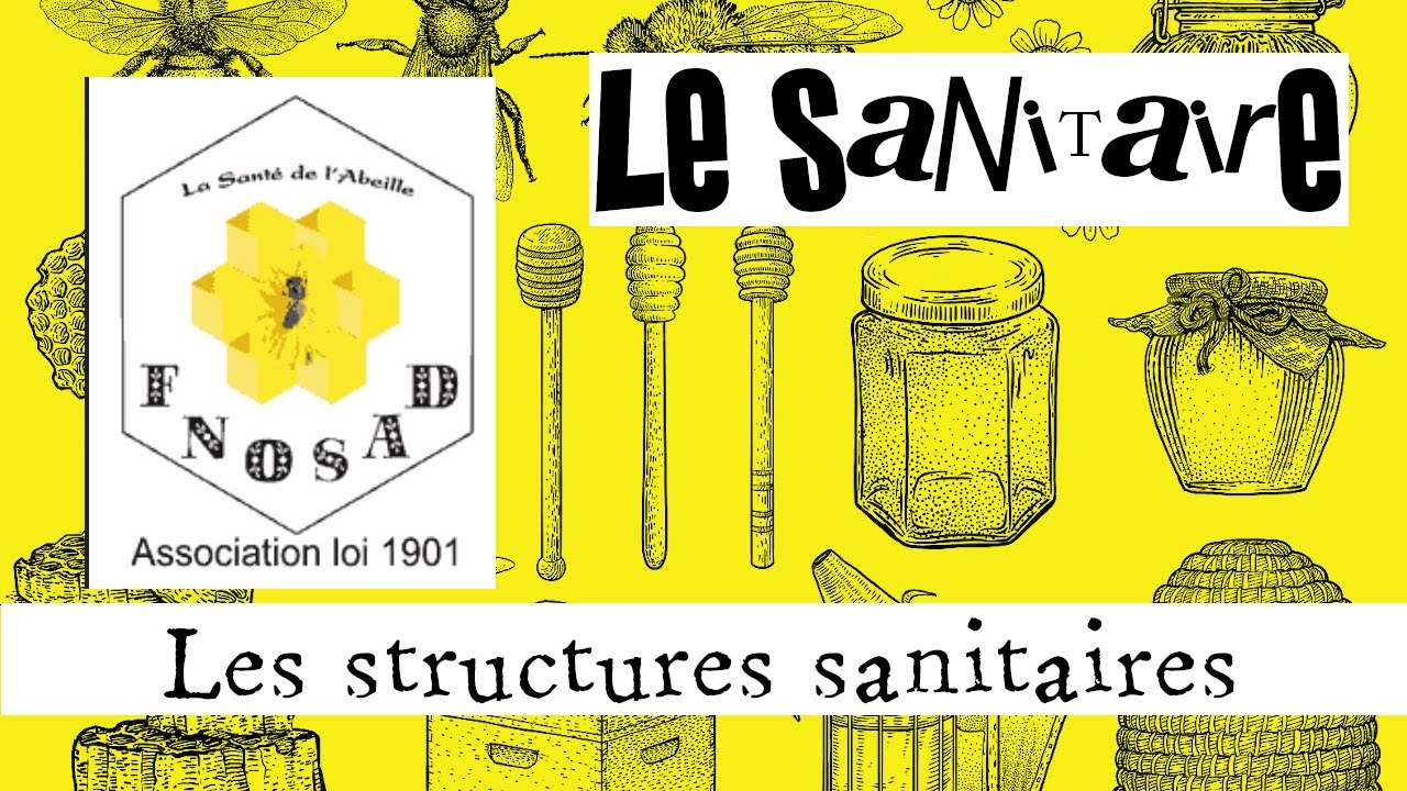 Le sanitaire en apiculture 03 : Les structures