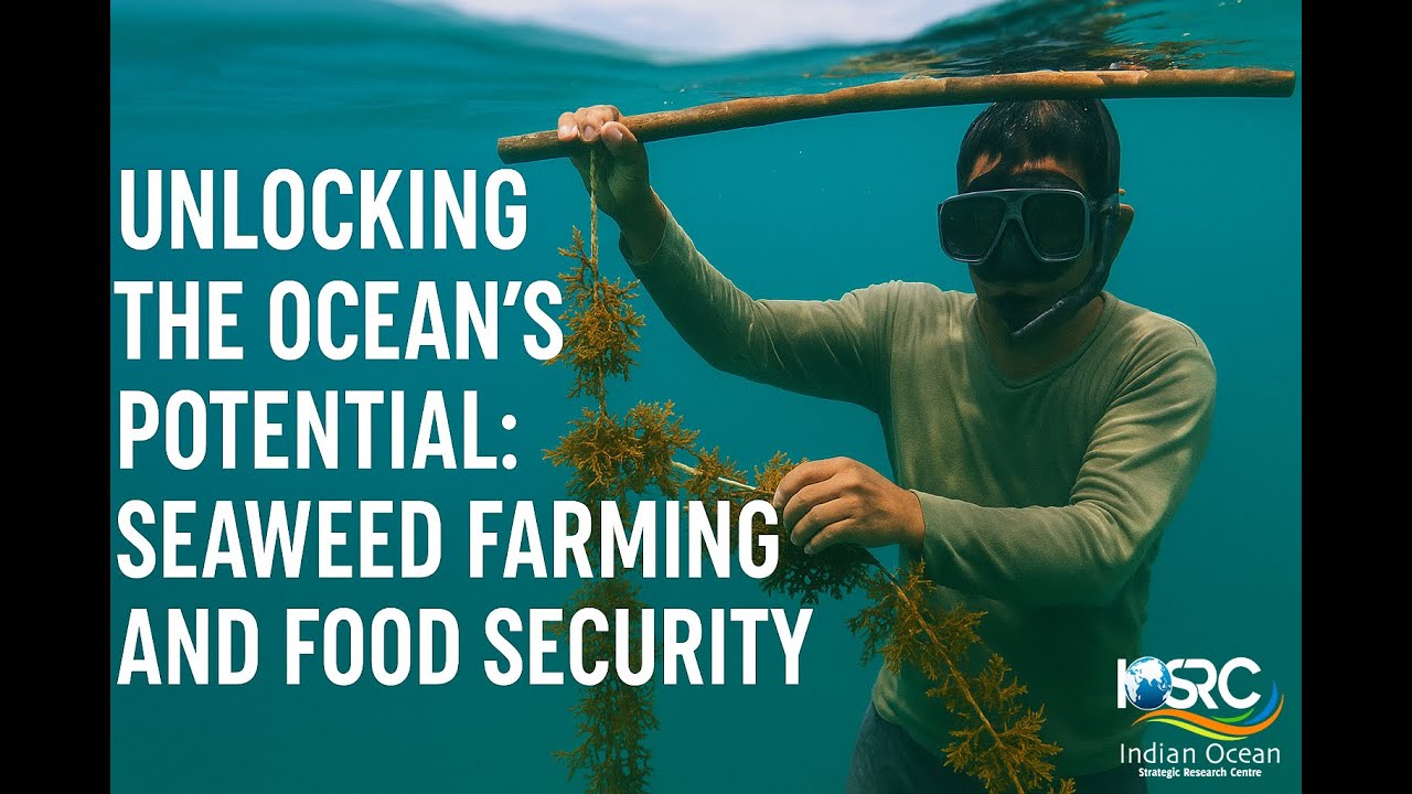 Unlocking the Ocean&rsquo;s Potential: Seaweed Farming and Food Security