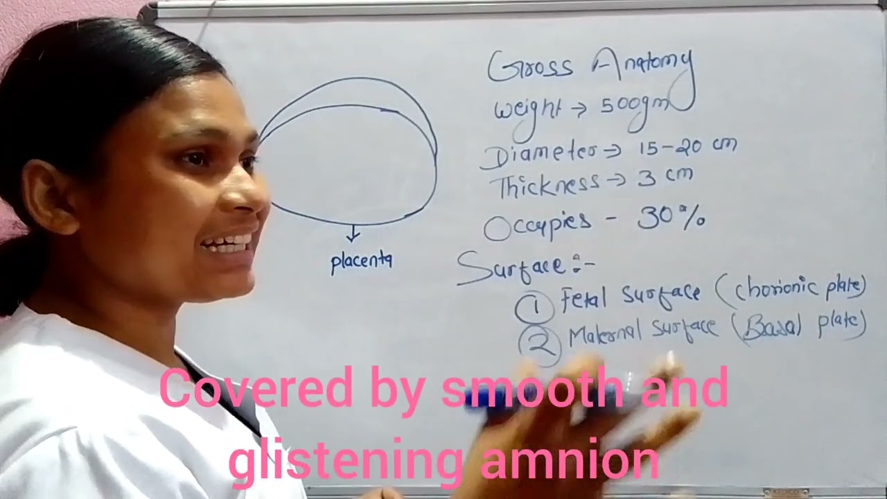 LearnClass, this video explains the placenta in a simple and easy way. 