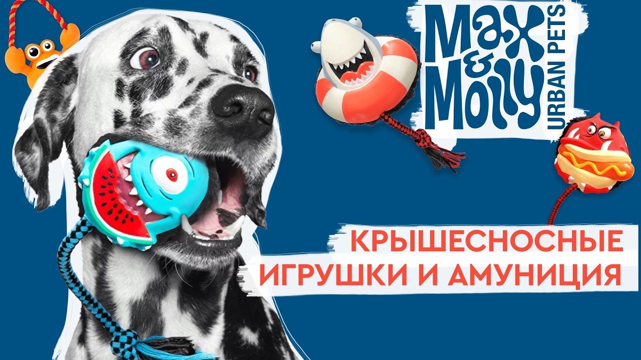 ПаркЗоо 2024 | Max & Molly: яркий и запоминающийся дизайн амуниции и игрушек