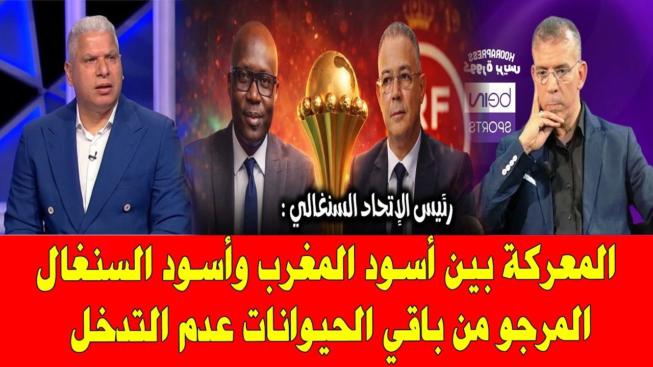 المعركة بين أسود المغرب وأسود السنغال المرجو من باقي الحيوانات عدم التدخل