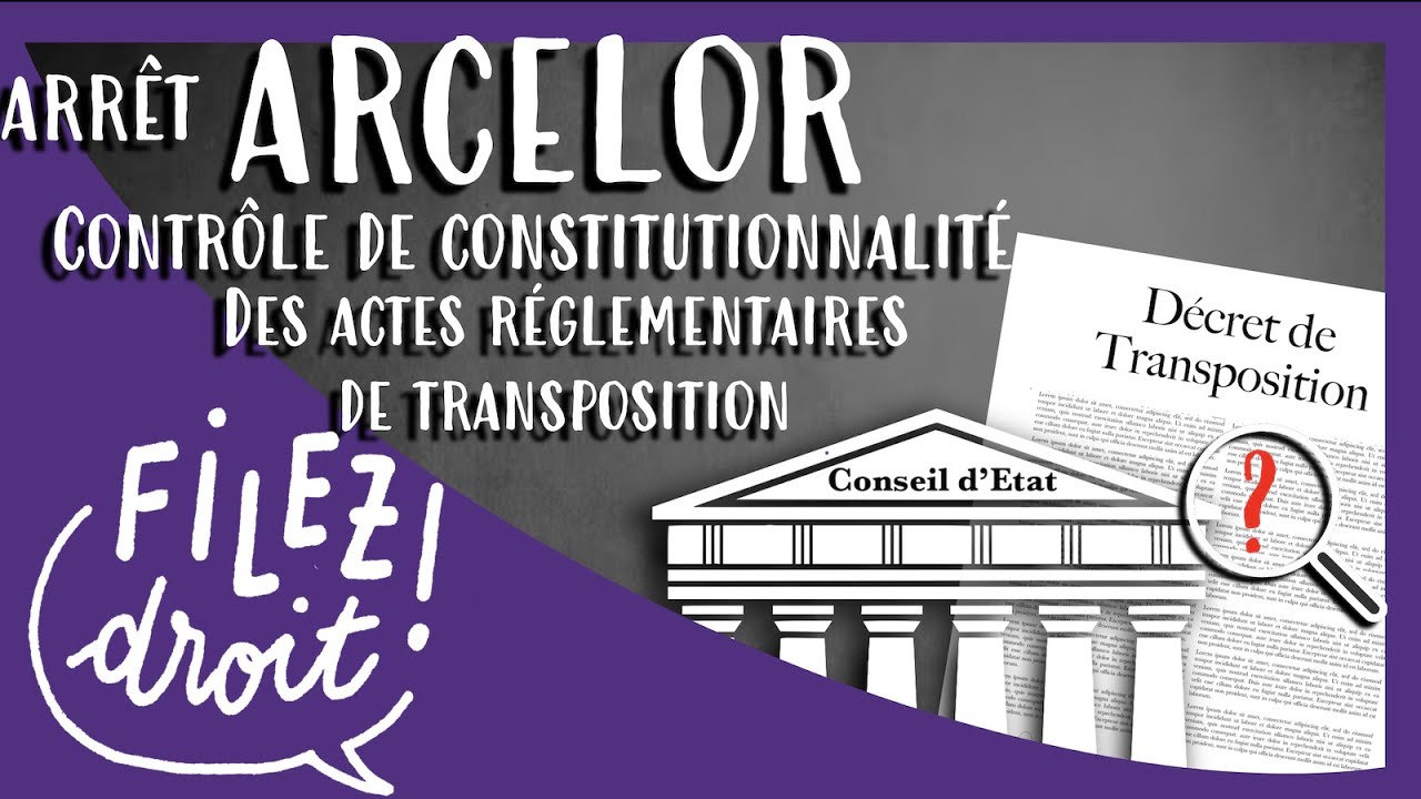 Arrêt Arcelor : Contrôle de constitutionnalité d’un acte réglementaire de Transposition (CE, 8/2/07)