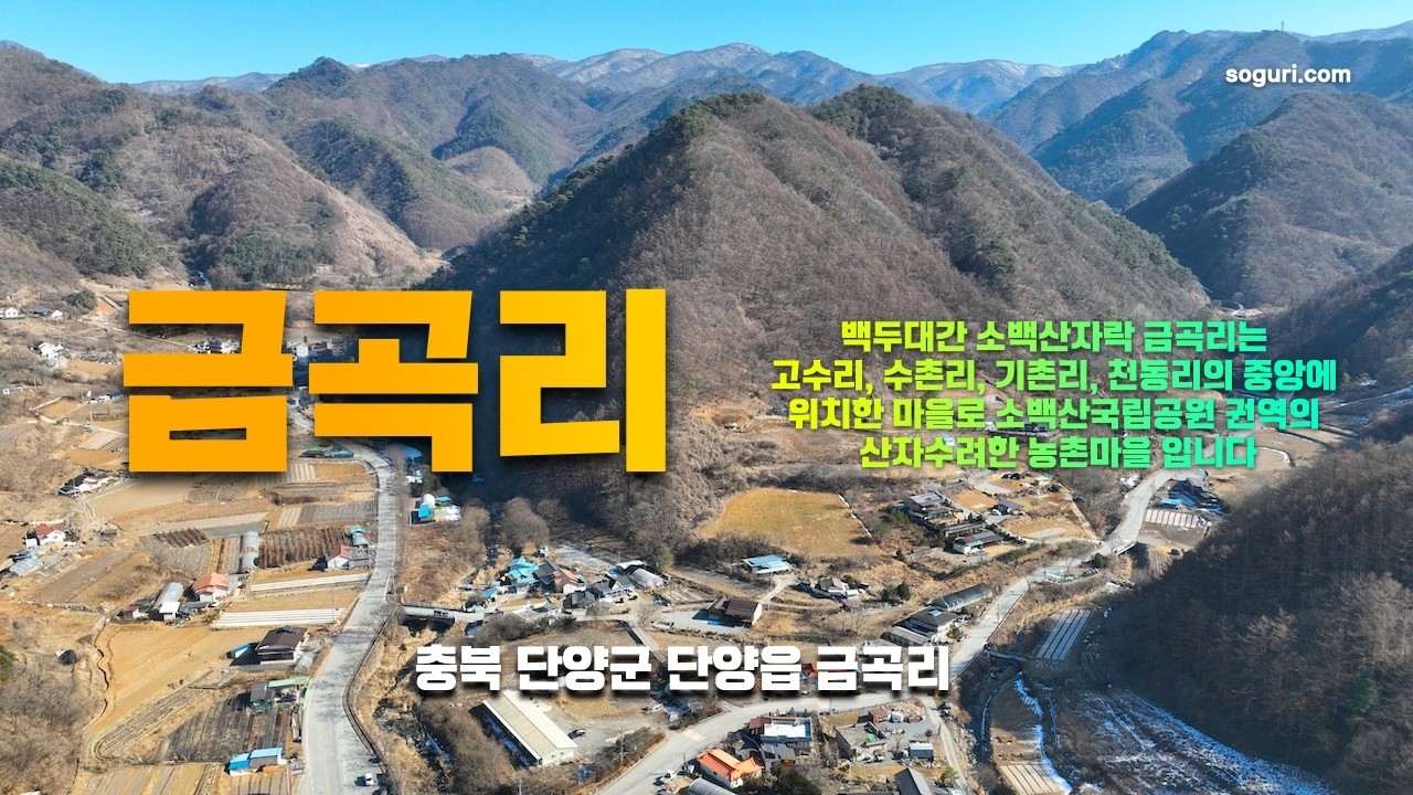 충북 단양군 단양읍 금곡리 마을 겨울풍경 - 20260209