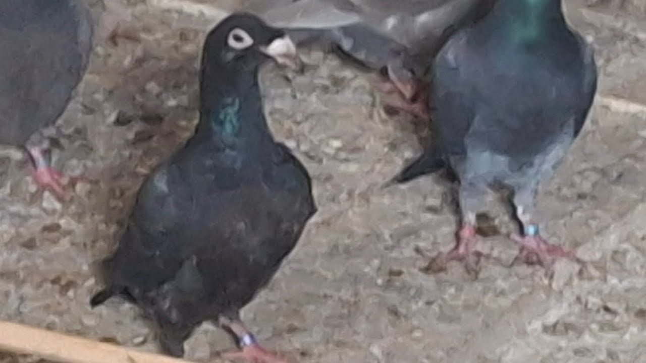 Krótko i na temat rzeszowskie na górze 