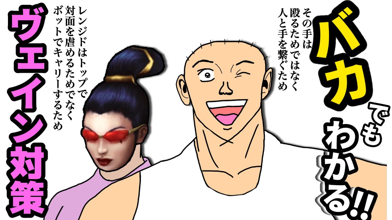 バカでもわかる！ヴェイン対策