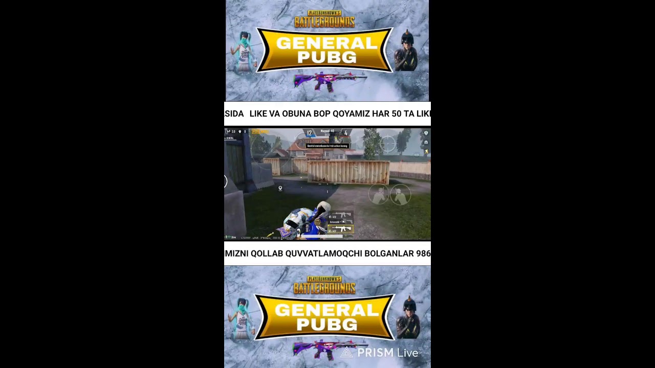 SHOW MATCH GO LIVE PUBG